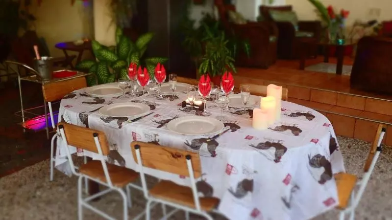 Le Cactus Guest House