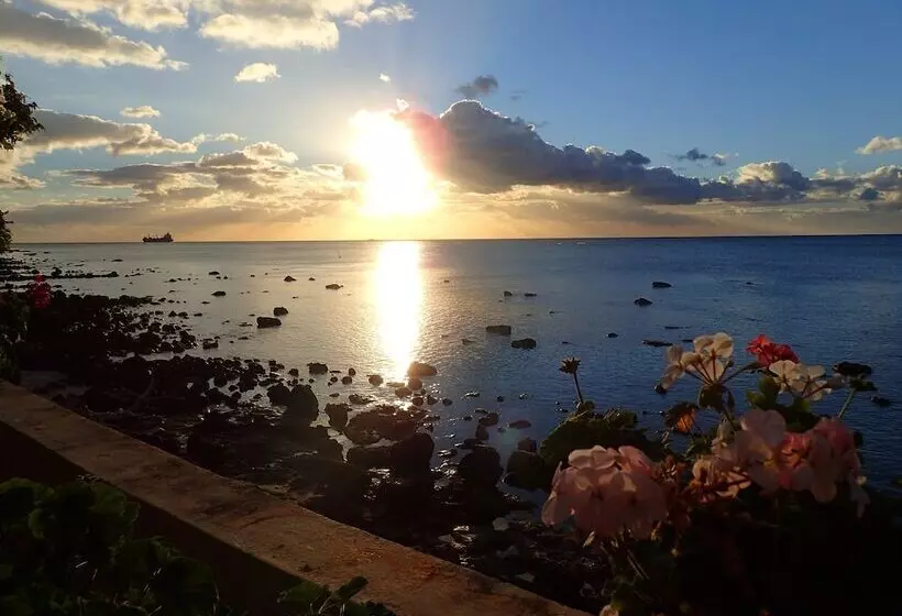 Le Cactus Guest House