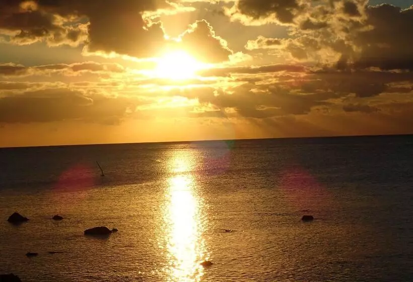 Le Cactus Guest House