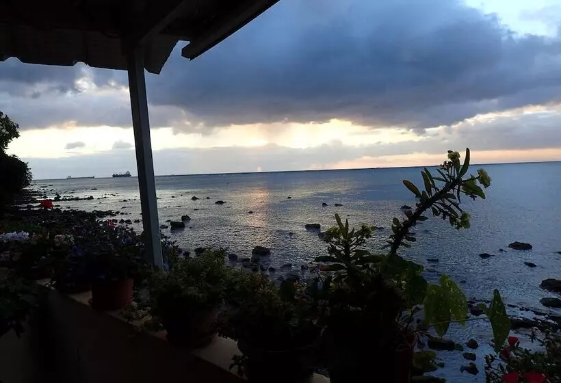 Le Cactus Guest House