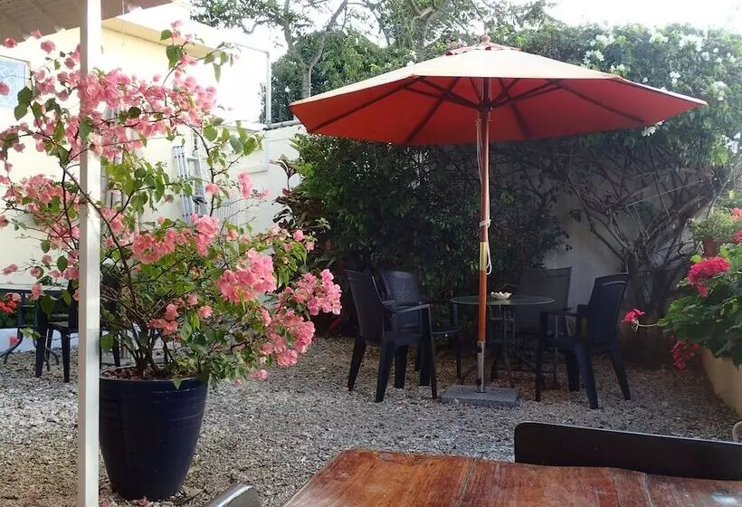 Le Cactus Guest House