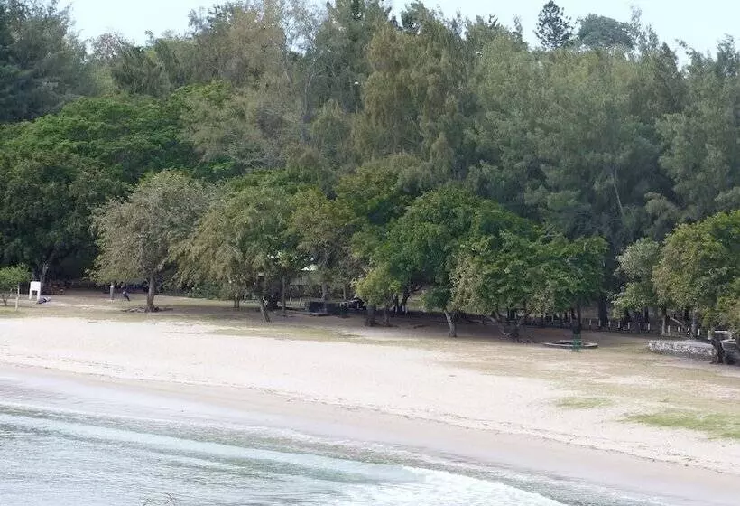 Le Cactus Guest House