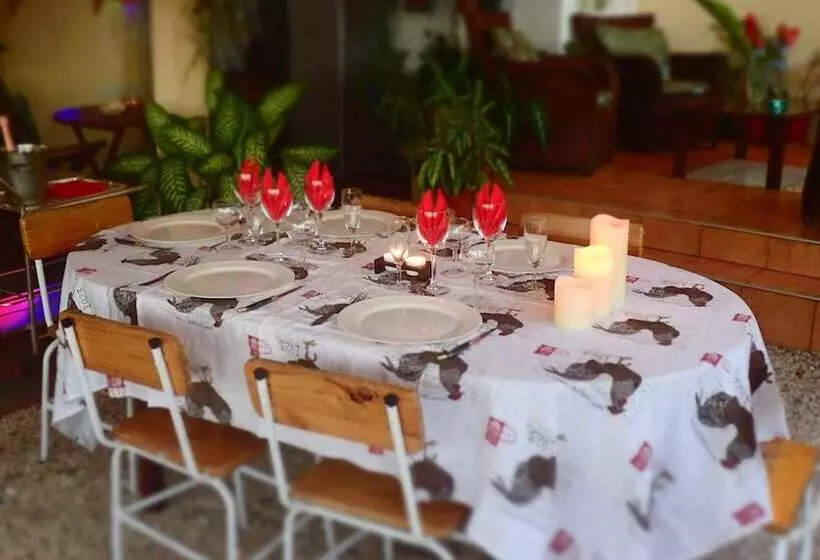 Le Cactus Guest House