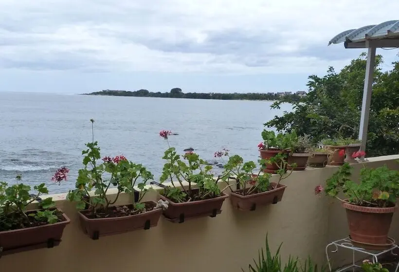 Le Cactus Guest House
