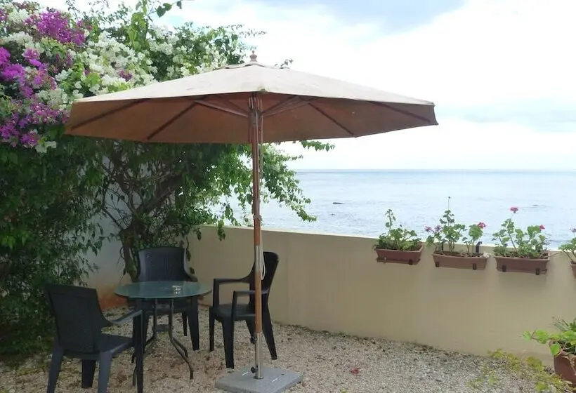 Le Cactus Guest House