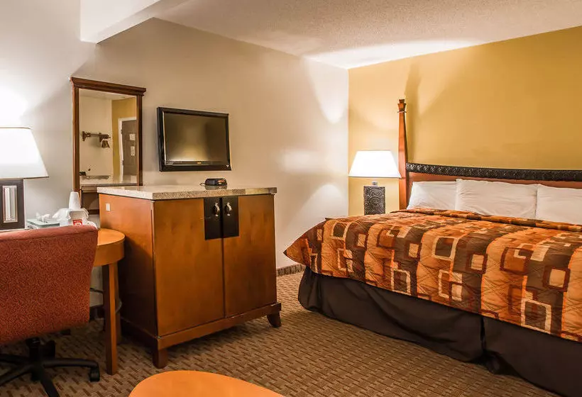 Hotel Econo Lodge Tonawanda I290