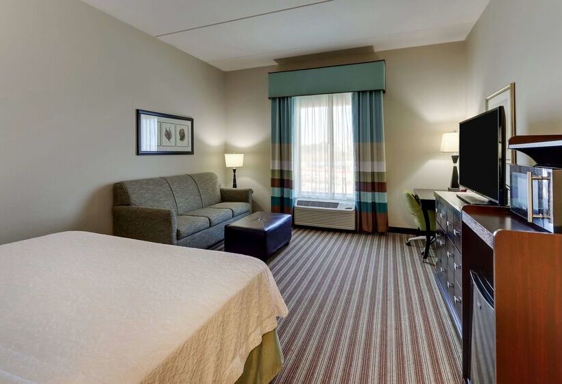 ホテル Hampton Inn & Suites Swansboro Near Camp Lejeune