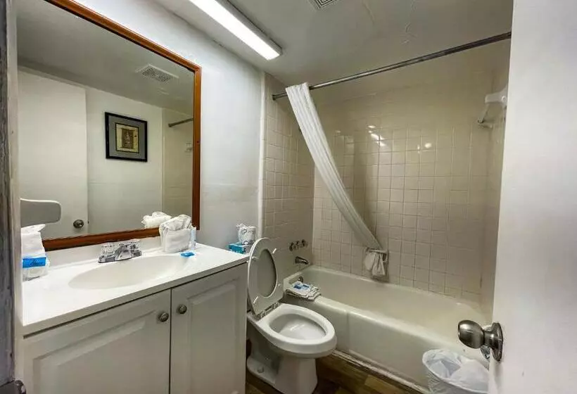 Oceanfront Viking Motel