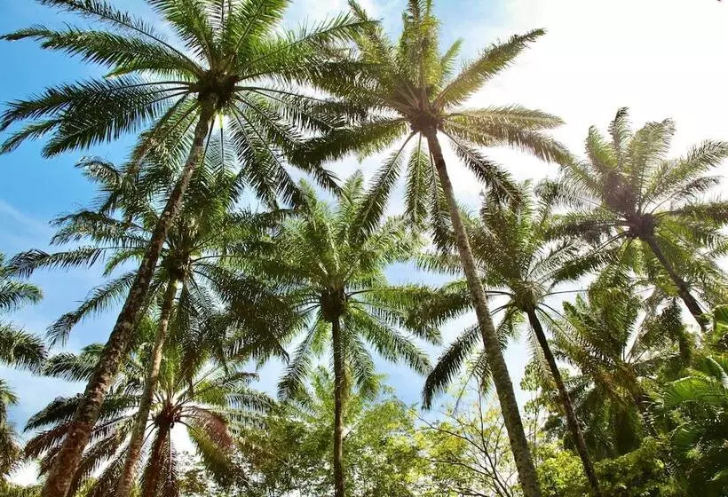 هتل Aldeia Do Mar