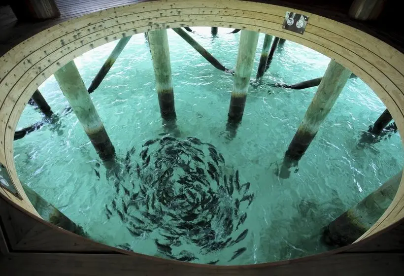 Centara Ras Fushi Resort & Spa Maldives