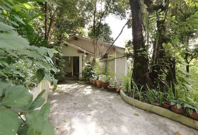 Hotel Ambong Rainforest Retreat