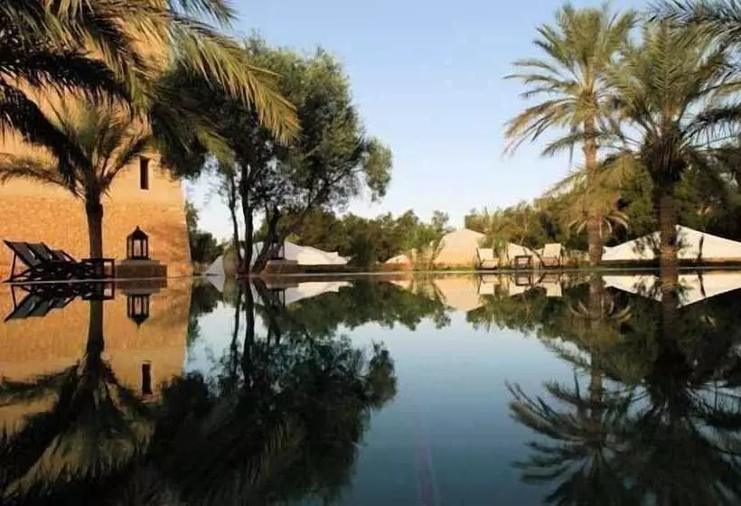 酒店 Campement Yadis Ksar Ghilane