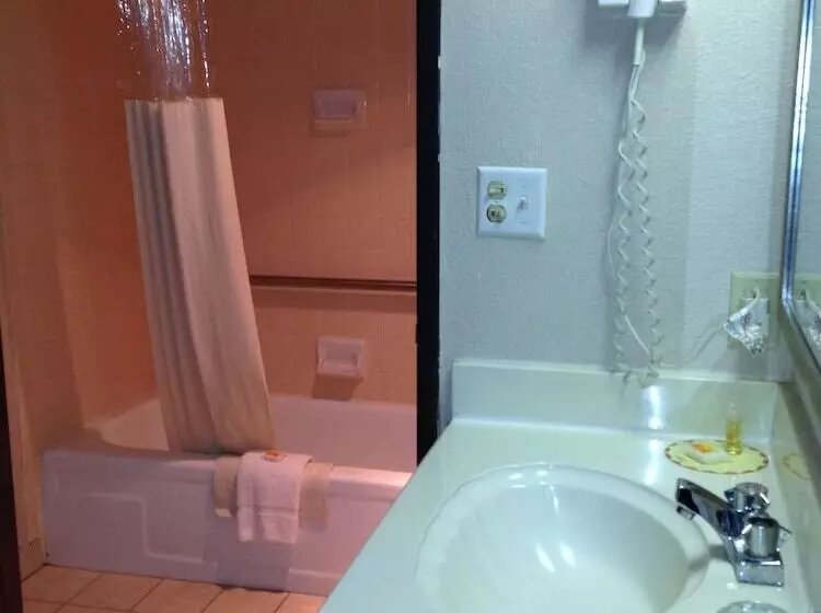 호텔 Executive Inn