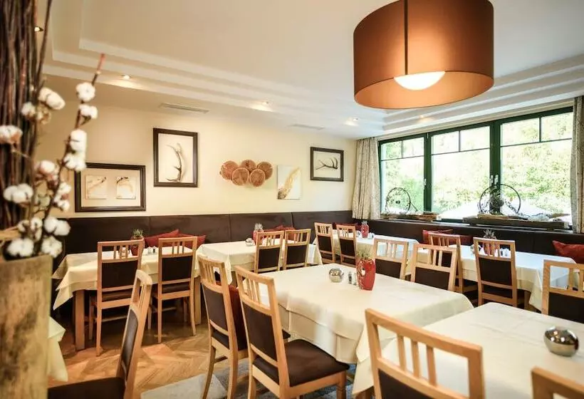 호텔 Dips&drops   First Bike & Ski Hub