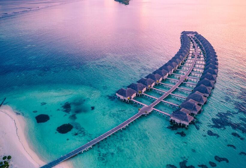 酒店 Lux South Ari Atoll Resort & Villas