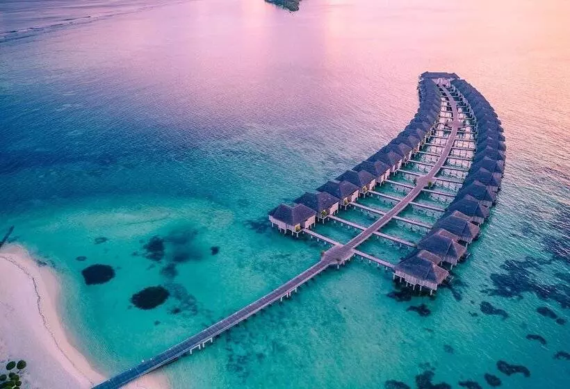 酒店 Lux South Ari Atoll Resort & Villas