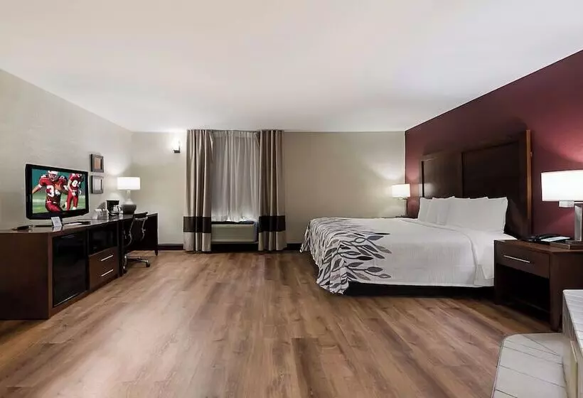 ホテル Red Roof Inn Newport News  Yorktown