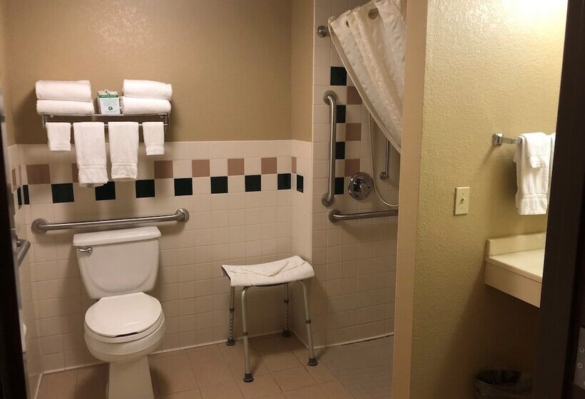 Boarders Inn And Suites By Cobblestone Hotels   Fayette