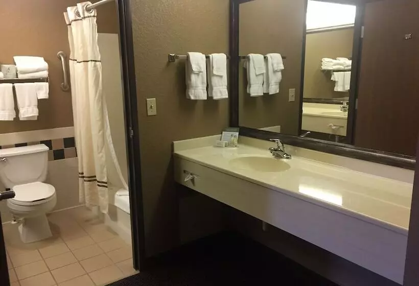 Boarders Inn And Suites By Cobblestone Hotels   Fayette