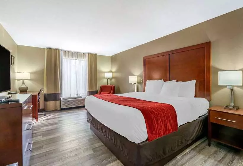 酒店 Comfort Inn Near Six Flags St. Louis