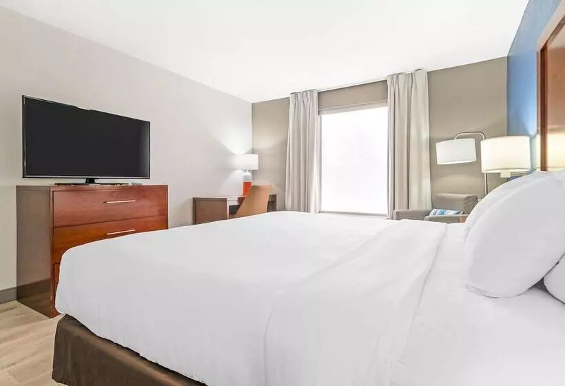 酒店 Comfort Inn Near Six Flags St. Louis