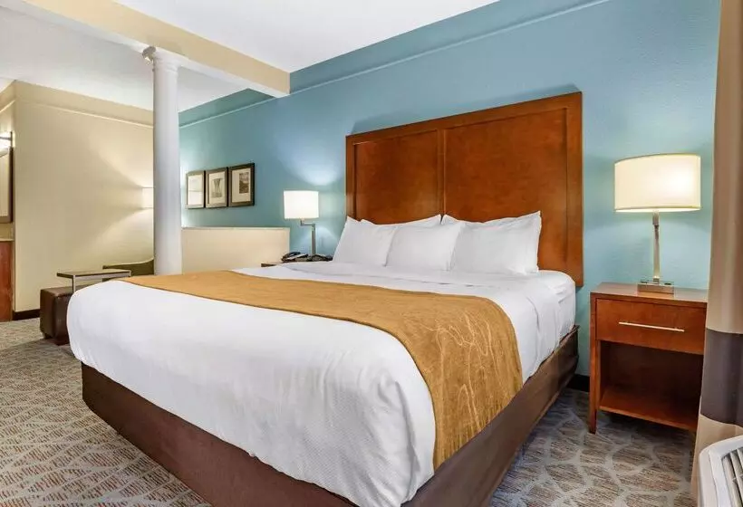 ホテル Comfort Suites Southport  Oak Island