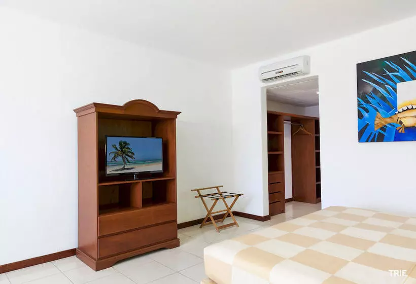 호텔 Costa Maya Inn