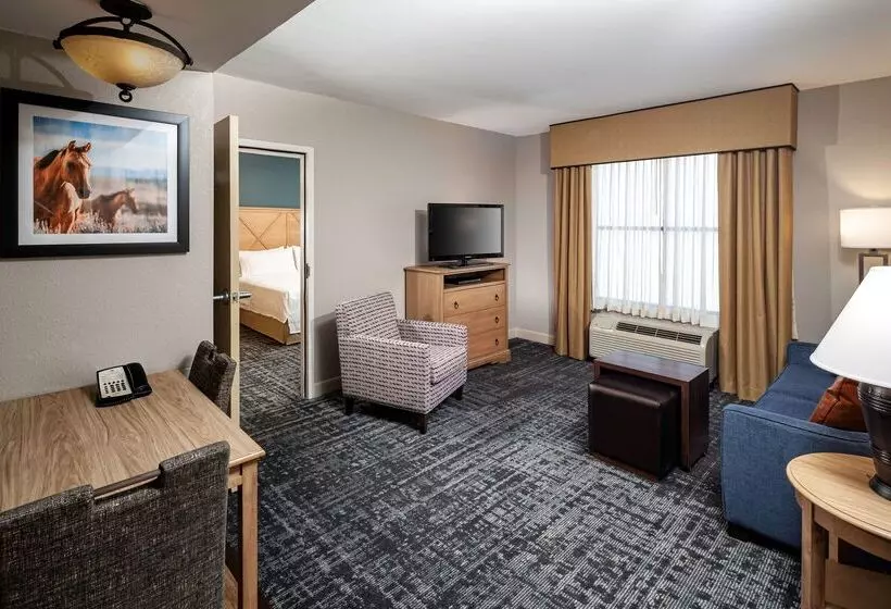 호텔 Homewood Suites By Hilton Austin/round Rock, Tx