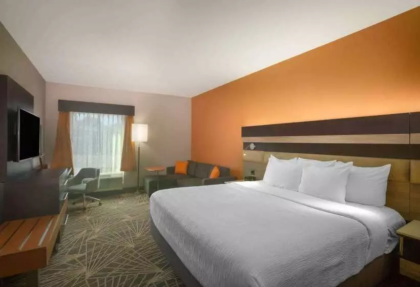 酒店 La Quinta By Wyndham Branson