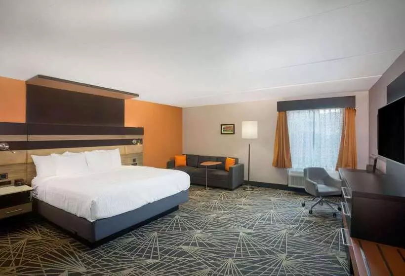 酒店 La Quinta By Wyndham Branson