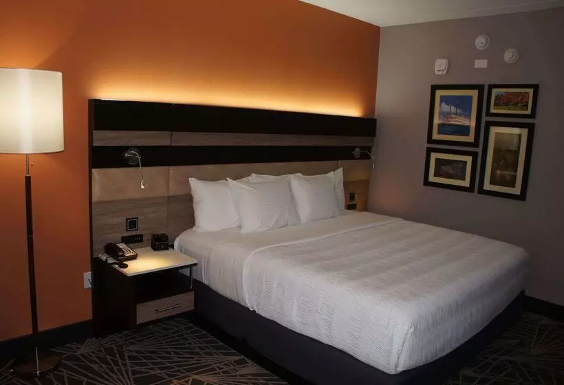 酒店 La Quinta By Wyndham Branson