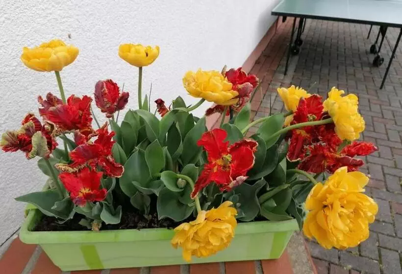 호텔 Landhaus Nassau