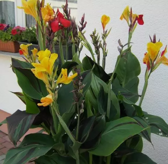 호텔 Landhaus Nassau