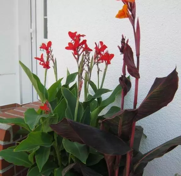 호텔 Landhaus Nassau