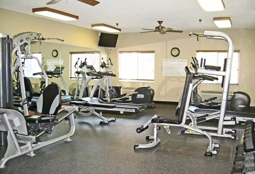 ホテル Savanna Inn & Suites