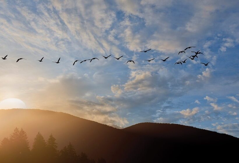 리조트 Worldmark Running Y