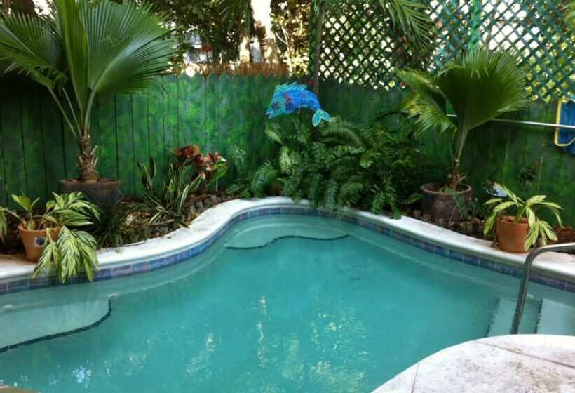 Nocleg ze śniadaniem Ambrosia Key West