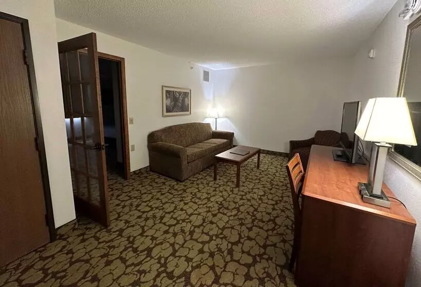 酒店 Americinn By Wyndham Appleton