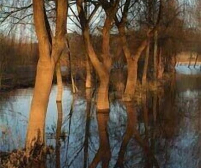 ホテル Quinta Do Louredo