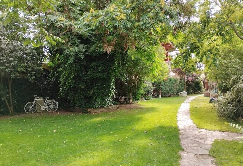 هتل روستایی Hospedium Hacienda Las Cavas