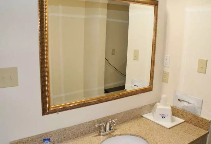 酒店 Americas Best Value Inn Ft. Jackson