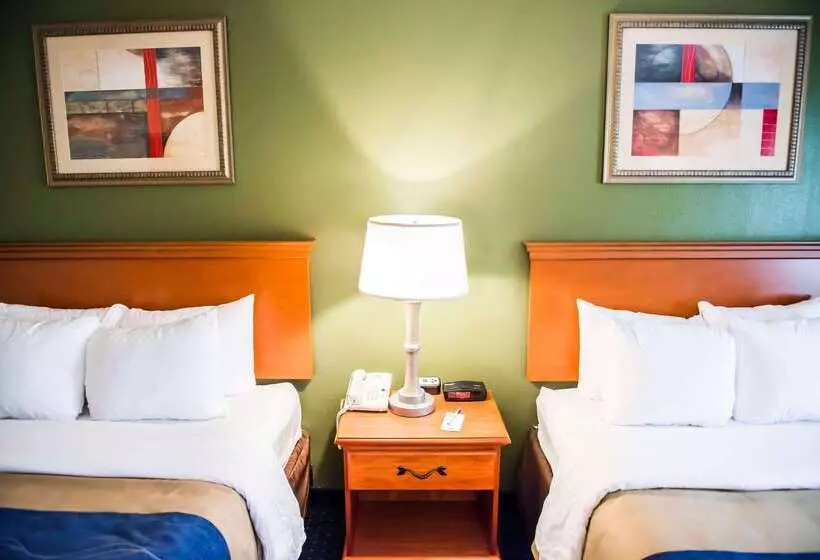 酒店 Comfort Inn & Suites Chipley I10