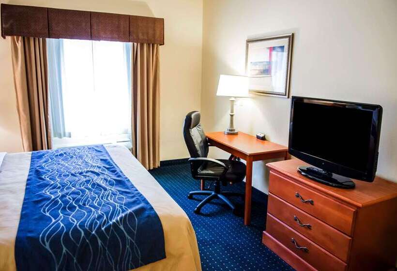 酒店 Comfort Inn & Suites Chipley I10
