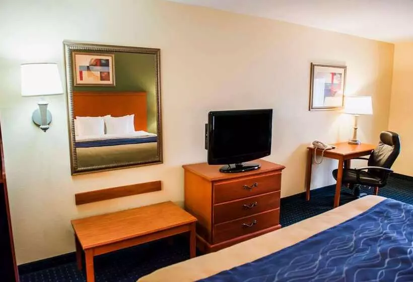 酒店 Comfort Inn & Suites Chipley I10