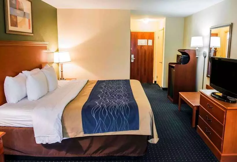 酒店 Comfort Inn & Suites Chipley I10
