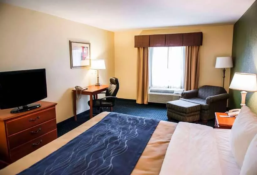 酒店 Comfort Inn & Suites Chipley I10