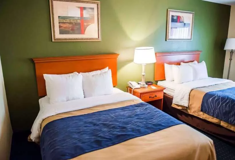 酒店 Comfort Inn & Suites Chipley I10