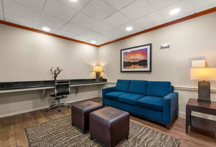 酒店 Comfort Inn & Suites Chipley I10