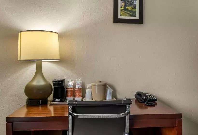 酒店 Comfort Inn & Suites Chipley I10