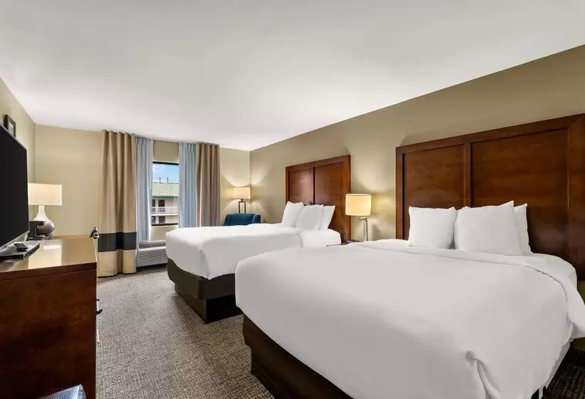 酒店 Comfort Inn & Suites Chipley I10